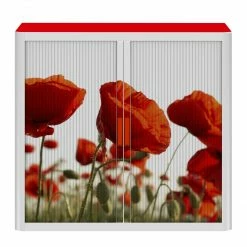 EasyOffice by Paperflow Rollladenschrank easyOffice Nature - Rot -Möbel Verkäufe 2024 1000071485 210831 09455500003 DETAILS P000000001000071485