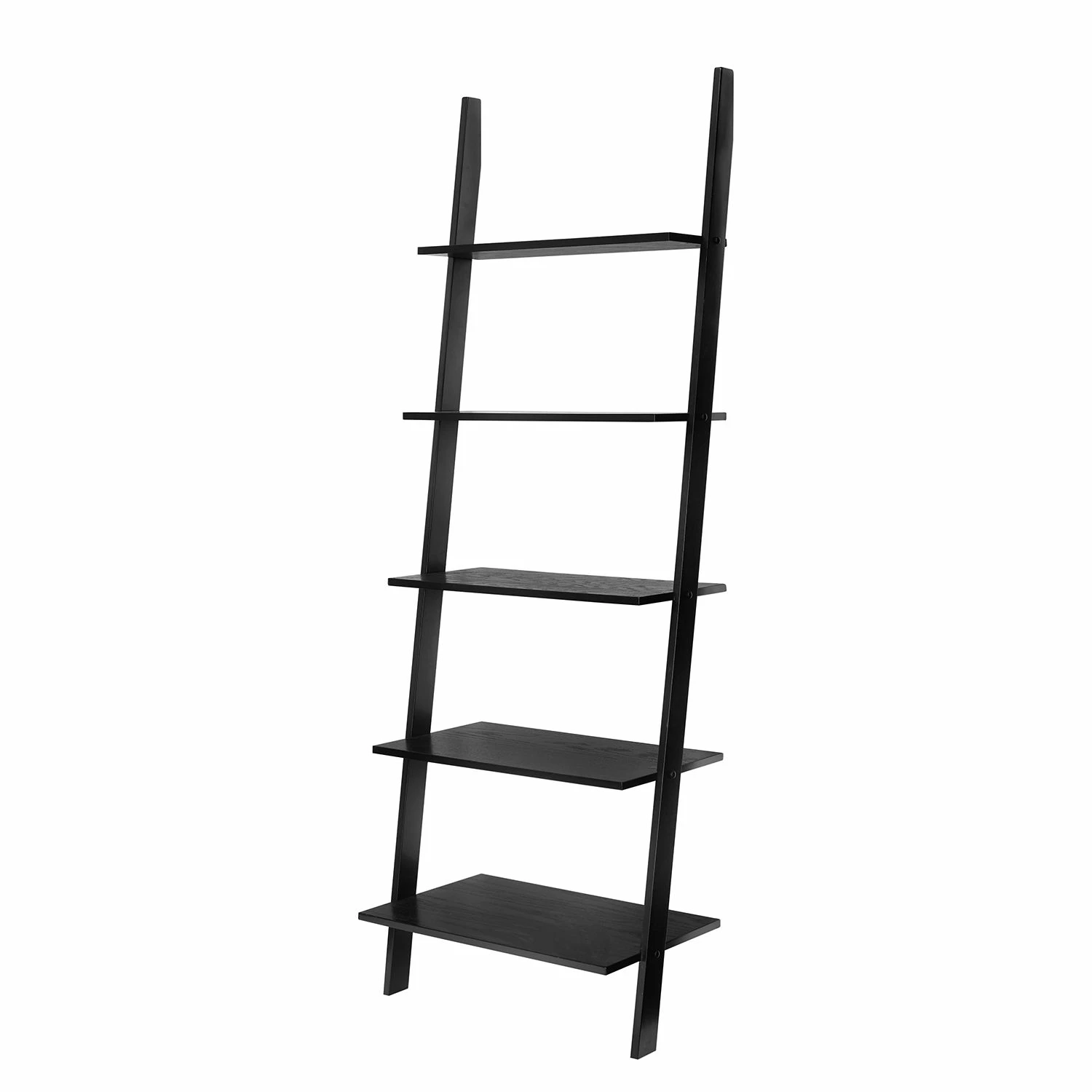 Norrwood Regal Calise - Gummibaum massiv 3 Norrwood Regal Calise - Gummibaum massiv