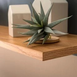 Mørteens Wandboard Lindholm - Eiche teilmassiv - Matt Grau 12 Mørteens Wandboard Lindholm - Eiche teilmassiv - Matt Grau -Möbel Verkäufe 2024 1000170822 200108 13510000011 DETAILS P000000001000170822