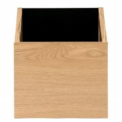 Temahome Regal One II - Eiche / Schwarz -Möbel Verkäufe 2024 1000183984 190806 13223000011 DETAILS P000000001000183984