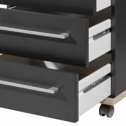 Germania Rollcontainer Eugene - Anthrazit / Nussbaum Dekor 16 Germania Rollcontainer Eugene - Anthrazit / Nussbaum Dekor -Möbel Verkäufe 2024 1000189457 191113 10262600007 DETAILS P000000001000189457