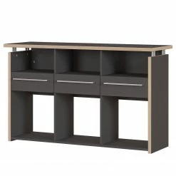 Germania Aktenregal Eugene - Anthrazit / Nussbaum Dekor