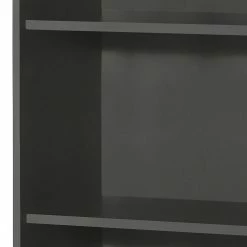 Furnitive Regal Buzy II - Anthrazit - Breite: 65 cm -Möbel Verkäufe 2024 1000191321 191031 16045500044 DETAILS P000000001000191321