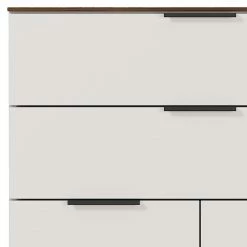 Germania Aktenschrank Ancona II - Kaschmir / Nussbaum Dekor -Möbel Verkäufe 2024 1000196990 191203 06445800037 DETAILS P000000001000196990