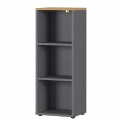 Germania Aktenregal GW-Agenda - Eiche Grandson Dekor / Graphit - 45 x 120 cm