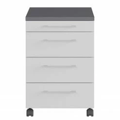 Germania Rollcontainer GW-Profi 2.0 - Lichtgrau -Möbel Verkäufe 2024 1000222871 200821 11193700055 DETAILS P000000001000222871