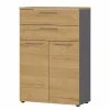 Germania Aktenschrank GW-Agenda II - Eiche Grandson Dekor / Graphit