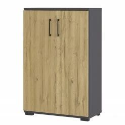 Germania Aktenschrank GW-Profi 2.0 I - Eiche Grandson Dekor / Graphit