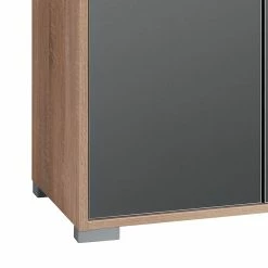 Tiernahrung Outlet Store -Möbel Verkäufe 2024 aktenschrank merit iii hochglanz grau eiche sonoma dekor 347716