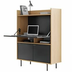 Temahome Sekretär Lomborg - Eiche / Matt Schwarz